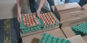Huevos colombianos exportados a Cuba